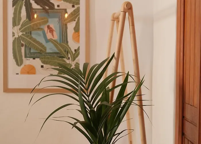 Appartement Casa Cactus - Heated Pool And Only 5 Boutique