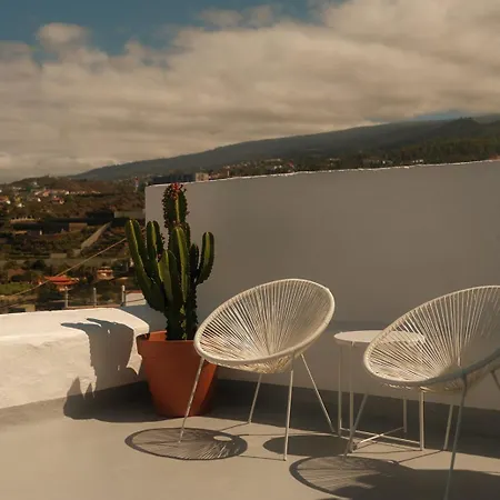 Casa Cactus - Heated Pool And Only 5 Boutique Apartment