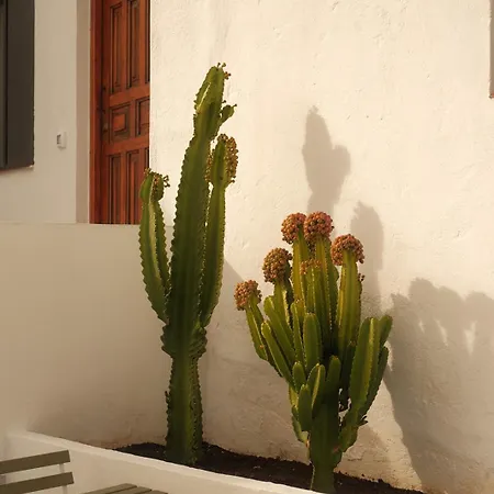 Casa Cactus - Heated Pool And Only 5 Boutique