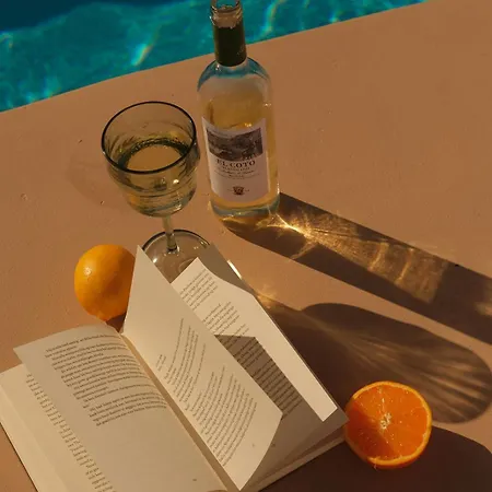 Casa Cactus - Heated Pool And Only 5 Boutique Icod De Los Vinos