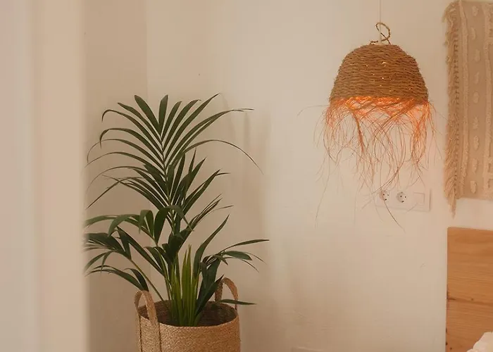 Casa Cactus - Heated Pool And Only 5 Boutique