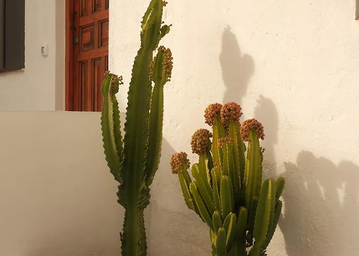 Casa Cactus - Heated Pool And Only 5 Boutique